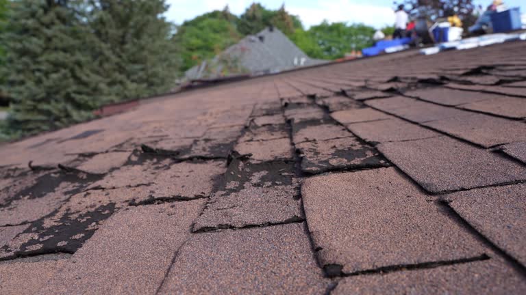 Best Steel Roofing  in Garden Grove, CA
