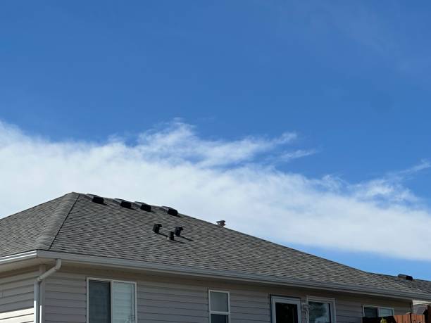 Best Roof Maintenance and Cleaning  in Garden Grove, CA